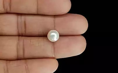 South Sea Pearl - 4.34 Carats (Moti - 4.73 Ratti)