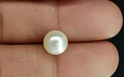South Sea Pearl - 5.42 Carats (Moti - 5.91 Ratti)