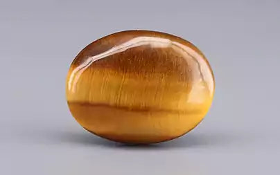 Tiger Eye - 13.84 Carats