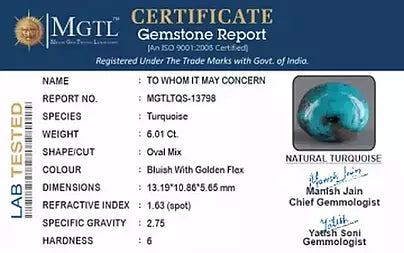 Turquoise - 6.01 Carats ( Firoza - 6.55 Ratti )
