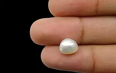 Venezuela Pearl - 4.19 Carats (Moti - 4.57 Ratti)