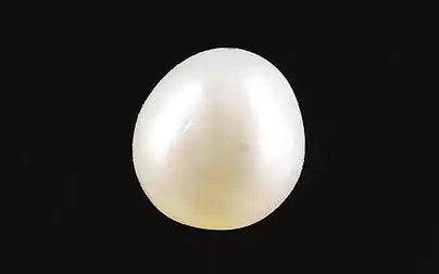 Venezuela Pearl - 5.00 Carats (Moti - 5.45 Ratti)