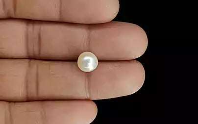 Venezuela Pearl - 4.32 Carats (Moti - 4.71 Ratti)