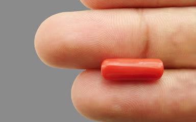 3.76 Carats Capsule Red Coral