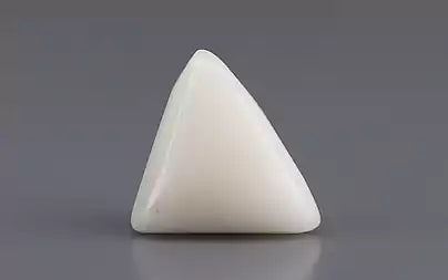 White Coral - 2.99 Carats