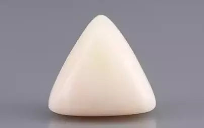 White Coral - 9.09 Carats