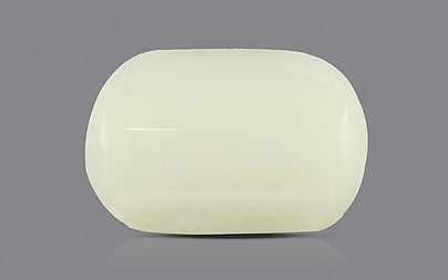 White Coral - 3.7 Carats