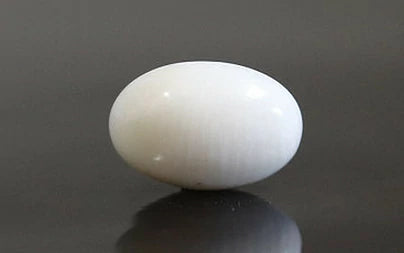 White Coral - 4.13 Carats