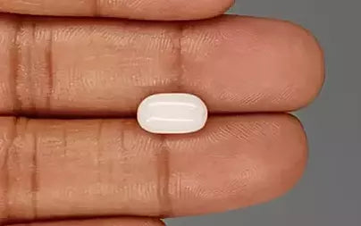 White Coral - 3.17 Carats