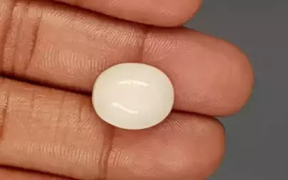 White Coral - 13.04 Carats