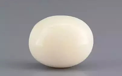 White Coral - 13.04 Carats