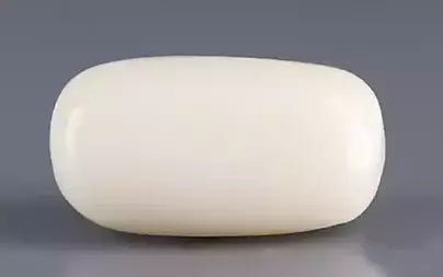 White Coral - 11.11 Carats