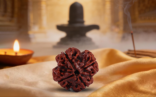 4 Mukhi Rudraksha (Char Mukhi - 4 मुखी रुद्राक्ष)