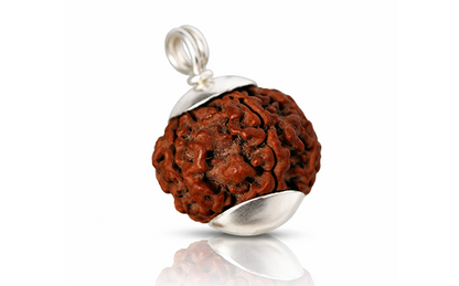 5 Mukhi Rudraksha (Panchmukhi - 5 मुखी रुद्राक्ष)