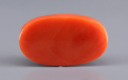Red Coral (Moonga) Gemstone - 26.38 Carats