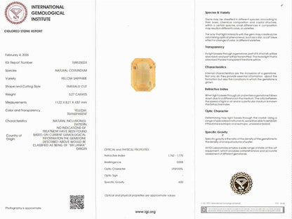 Yellow Sapphire (Pukhraj) - 5.27 Carats
