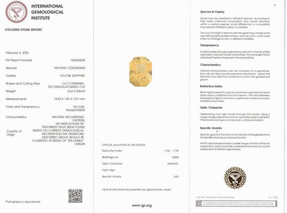 Yellow Sapphire (Pukhraj) - 6.54 Carats