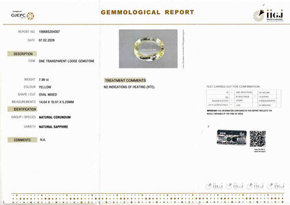 Yellow Sapphire (Pukhraj) - 7.99 Carats