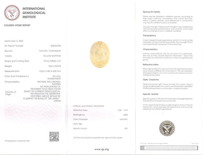 Yellow Sapphire (Pukhraj) Gemstone - 8.64 Carats