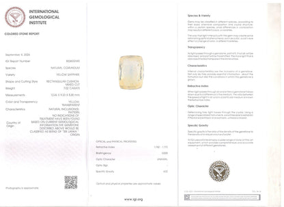 Yellow Sapphire (Pukhraj) Gemstone - 7.02 Carats