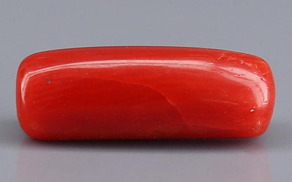 Red Coral (Moonga) Gemstone - 5.80 Carats