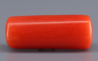 Red Coral (Moonga) Gemstone - 3.43 Carats