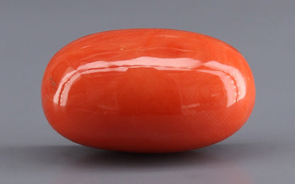 Red Coral (Moonga) Gemstone - 26.38 Carats