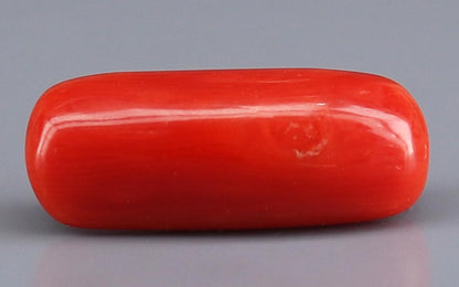 Red Coral (Moonga) Gemstone - 5.84 Carats