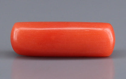 Red Coral (Moonga) Gemstone - 3.50 Carats