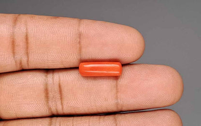 Red Coral (Moonga) Gemstone - 3.50 Carats