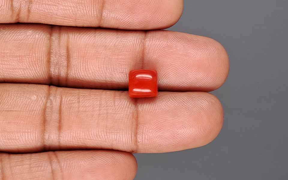 Red Coral (Moonga) Gemstone - 3.64 Carats