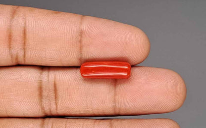 Red Coral (Moonga) Gemstone - 5.23 Carats