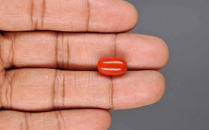 Red Coral (Moonga) Gemstone - 5.41 Carats