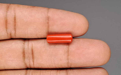 Red Coral (Moonga) Gemstone - 3.64 Carats