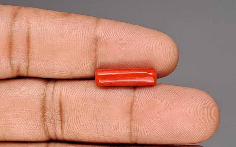 Red Coral (Moonga) Gemstone - 4.16 Carats