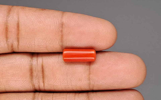 Red Coral (Moonga) Gemstone - 3.43 Carats