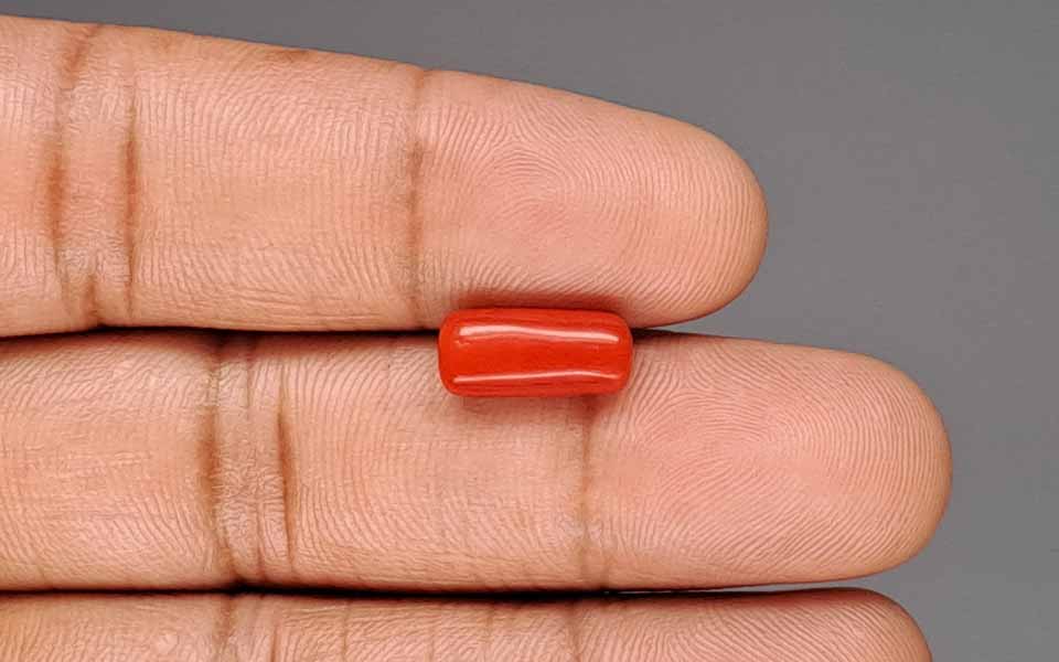 Red Coral (Moonga) Gemstone - 3.51 Carats