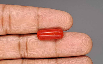 Red Coral (Moonga) Gemstone - 5.84 Carats