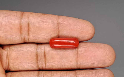 Red Coral (Moonga) Gemstone - 5.48 Carats