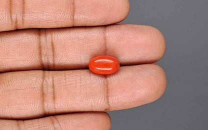 Red Coral (Moonga) Gemstone - 3.89 Carats