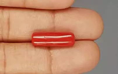 Red Coral (Moonga) - 7.47 Carats