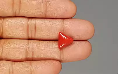 Red Coral (Moonga) - 5.29 Carats