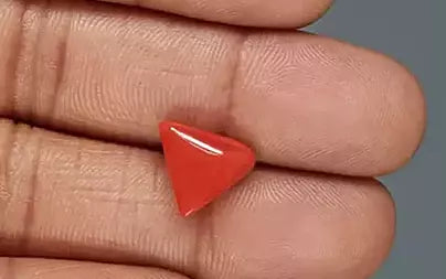 Red Coral (Moonga) - 4.56 Carats