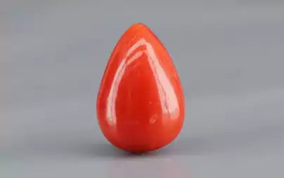 Red Coral (Moonga) - 1.84 Carats