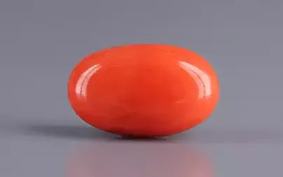 Red Coral (Moonga) - 5.17 Carats