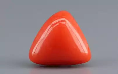 Red Coral (Moonga) - 3.40 Carats