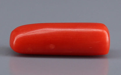Red Coral (Moonga) Gemstone - 4.38 Carats