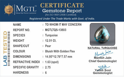 Turquoise - 12.01 Carats ( Firoza - 13.09 Ratti )