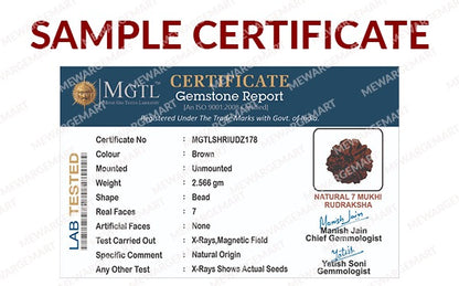 5 Mukhi Rudraksha (Panchmukhi - 5 मुखी रुद्राक्ष)