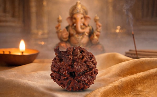 Ganesh Rudraksha